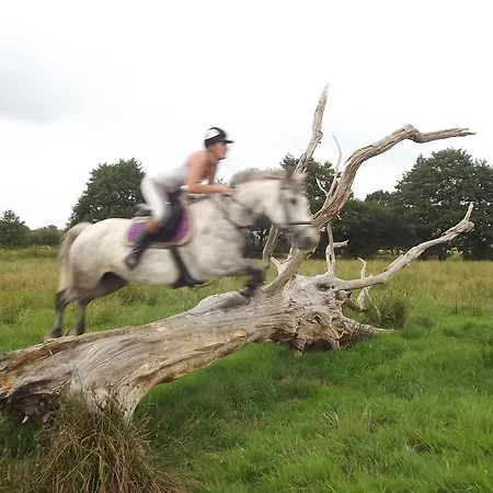 Prázdninový dům Ecuries Leseigneur -