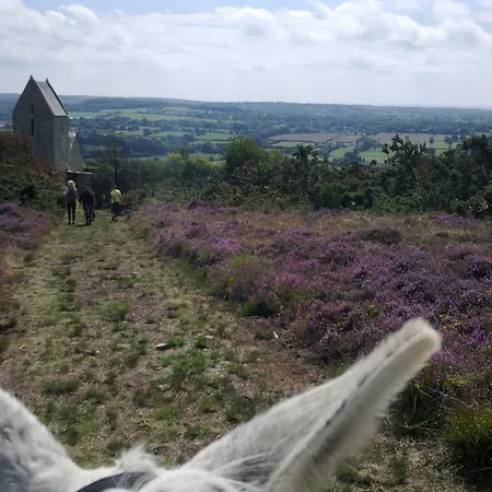 Ecuries Leseigneur - Bolleville (Manche)