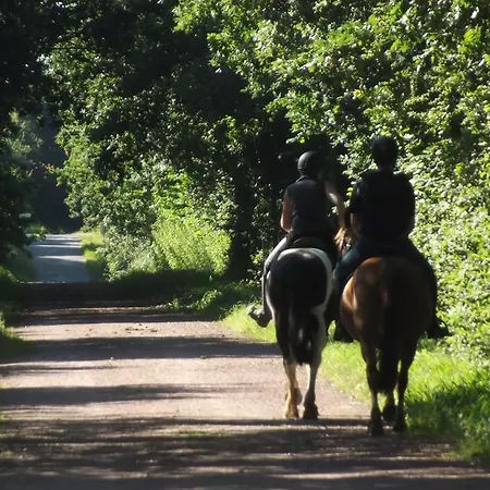 Ecuries Leseigneur - Casa vacanze *
