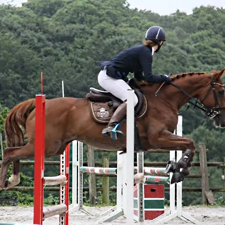 Ecuries Leseigneur - Casa vacanze