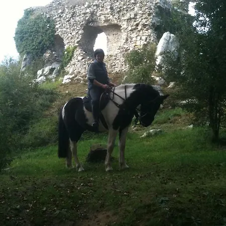 Ecuries Leseigneur - Bolleville (Manche)