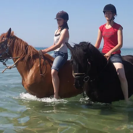 Ecuries Leseigneur - Bolleville (Manche)