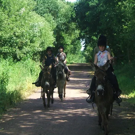 Prázdninový dům Ecuries Leseigneur -