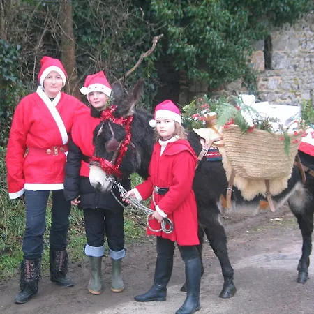 Ecuries Leseigneur -