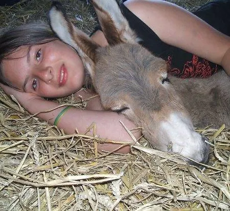 Casa vacanze Ecuries Leseigneur - Bolleville (Manche)