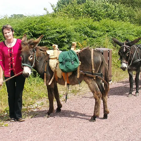 Casa vacanze Ecuries Leseigneur - *