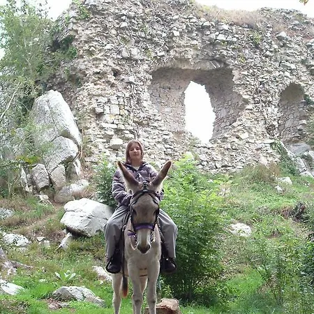 Casa vacanze Ecuries Leseigneur - *