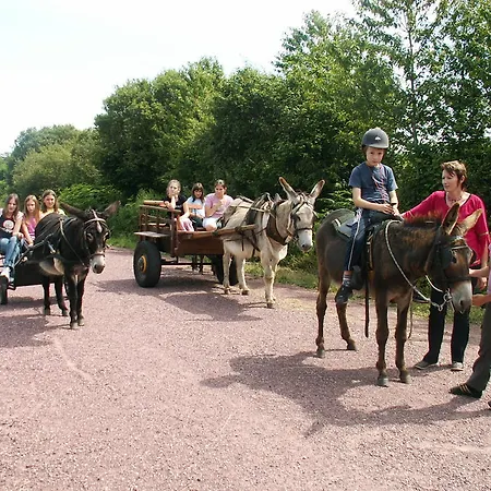 Prázdninový dům Ecuries Leseigneur - *