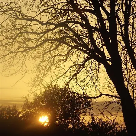 Ecuries Leseigneur - Casa vacanze *