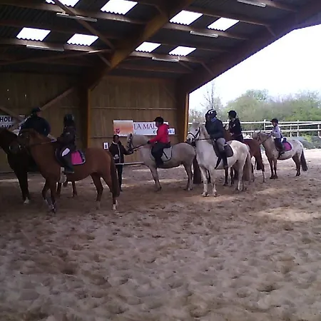 Ecuries Leseigneur - * Bolleville (Manche)