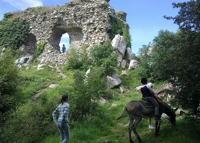 Ecuries Leseigneur - 펜션 *