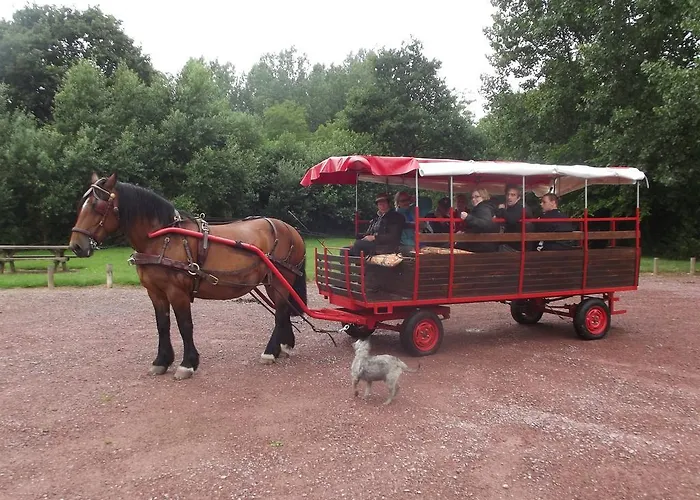 Ecuries Leseigneur - *