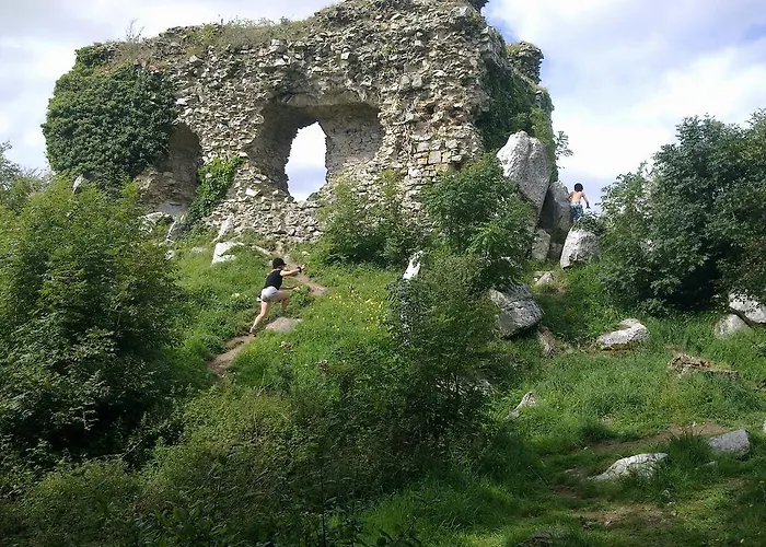 Ecuries Leseigneur - 펜션 *