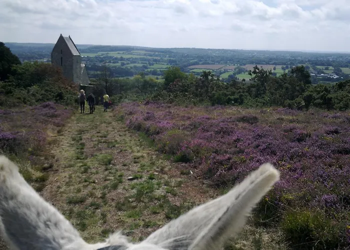 Ecuries Leseigneur - Bolleville (Manche)