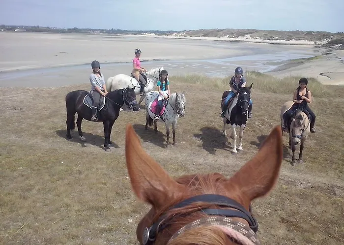 Ecuries Leseigneur - 펜션 *