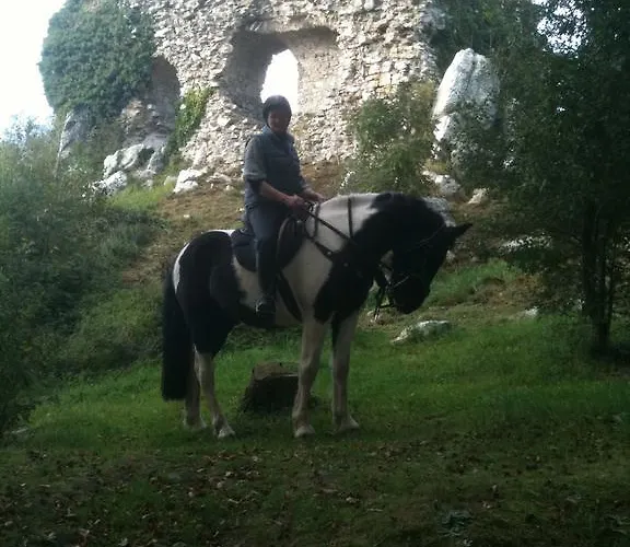 Ecuries Leseigneur - Bolleville (Manche)