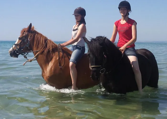 Ecuries Leseigneur - Bolleville (Manche)