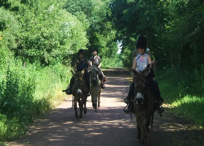 בית נופש Ecuries Leseigneur -