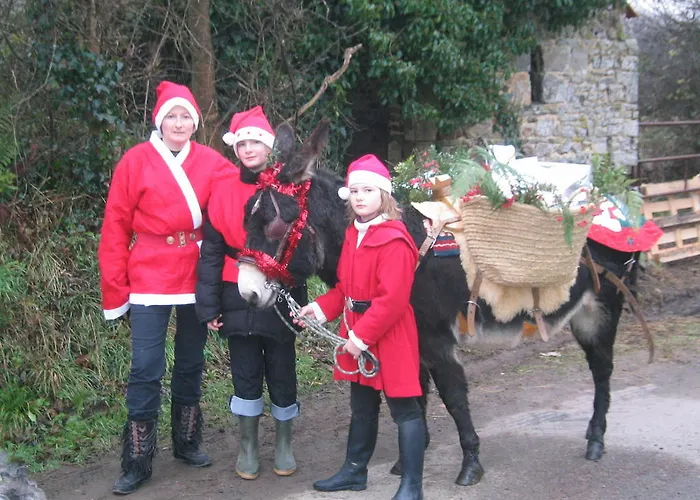 Ecuries Leseigneur -