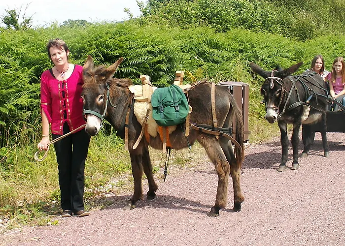 בית נופש Ecuries Leseigneur - *