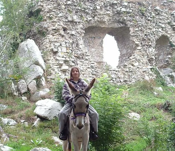 בית נופש Ecuries Leseigneur - *