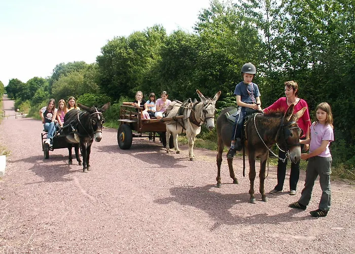 펜션 Ecuries Leseigneur - *