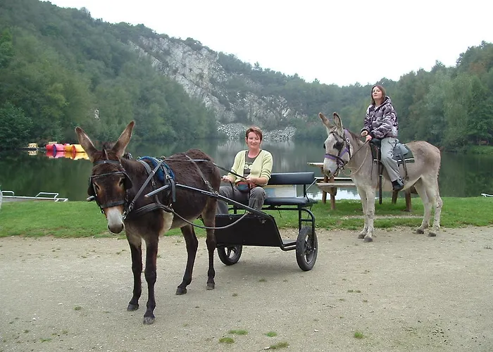 펜션 Ecuries Leseigneur - Bolleville (Manche)